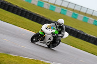 PJ-Motorsport-2019;anglesey-no-limits-trackday;anglesey-photographs;anglesey-trackday-photographs;enduro-digital-images;event-digital-images;eventdigitalimages;no-limits-trackdays;peter-wileman-photography;racing-digital-images;trac-mon;trackday-digital-images;trackday-photos;ty-croes